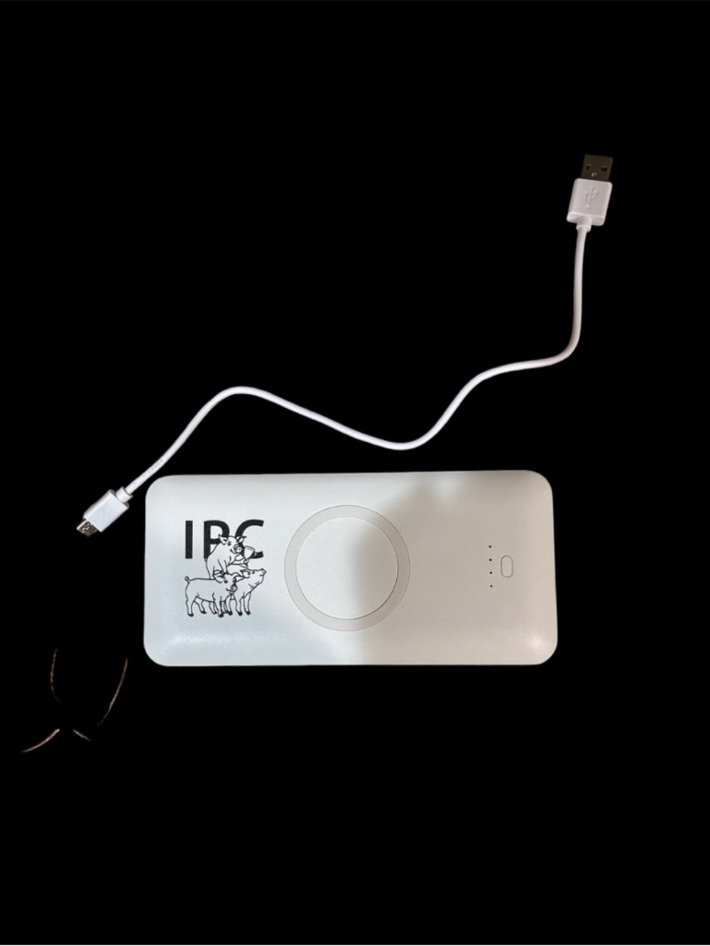 Apple iPhone MagSafe wireless power bank